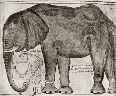 Elefant sendt av St. Louis til Henrik III, fra #39;Historia Major#39;, gjengitt i #39;English Historians#39; av English School