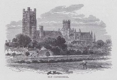 Ely-katedralen (gravering) av English School