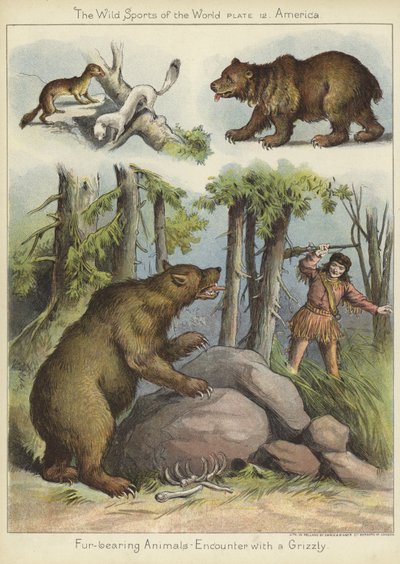 Møte med en grizzly av English School