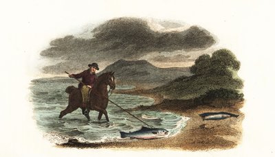 Den engelske fiskeren Graham jakter på laks i grunnen, montert på hesteryggen med et 5 meter 3-greners spyd av English School