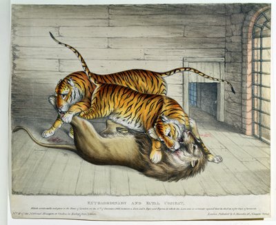 Ekstraordinær og fatal kamp, 1830 (farget lito) av English School