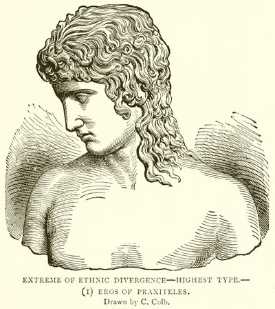 Ekstrem etnisk divergens--høyeste type.--(1) Eros of Praxiteles av English School