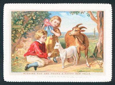 Ziegen füttern von English School