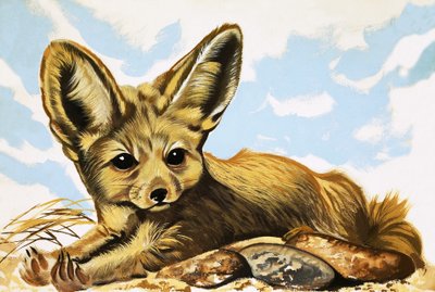 Fennec av English School
