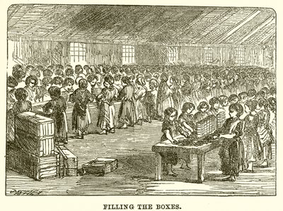 Fylle boksene av English School