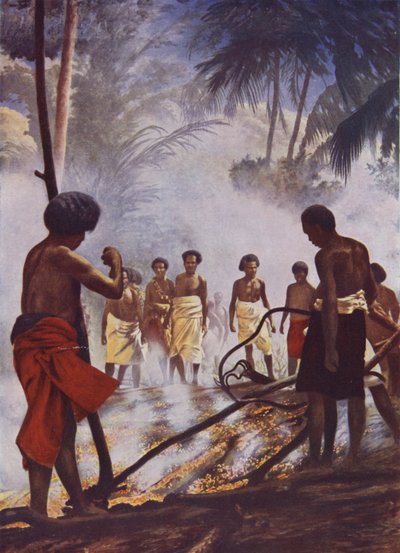 Brannvandring i Fiji av English School