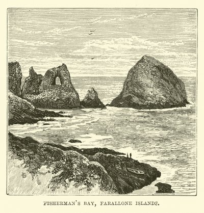 Fishermans Bay, Farallonøyene av English School