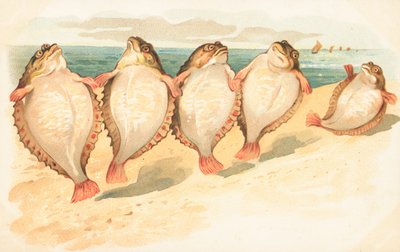 Fem flatfisk som danser på en strand av English School