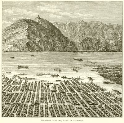 Schwimmende Gärten, See von Srinagur von English School
