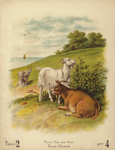 Fire geiter (chromolitho) av English School