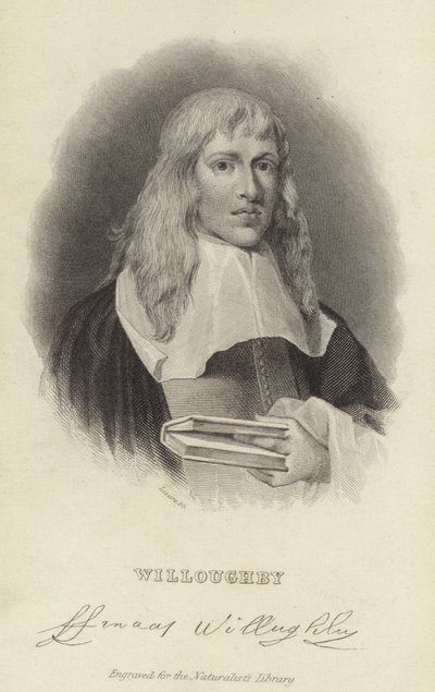Francis Willughby av English School