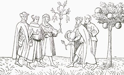 Friar Oderic fra Pordenone som holder en gren fra et tre som fugler vokser på, og blir vist etter tur av den lokale kongen, Lammetreet fra Tartary, som viser et lam som dukker opp, illustrasjon fra The Strand Magaz av English School