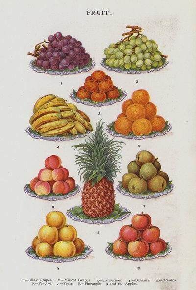 Frukt (kromolitho) av English School