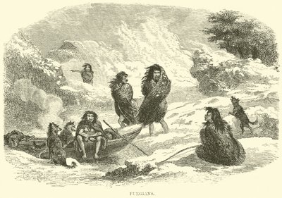 Fuegians av English School