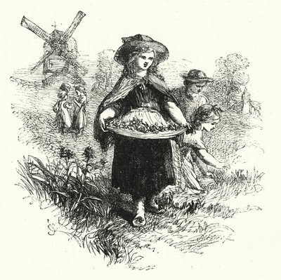 Samle kuslipp (gravering) av English School