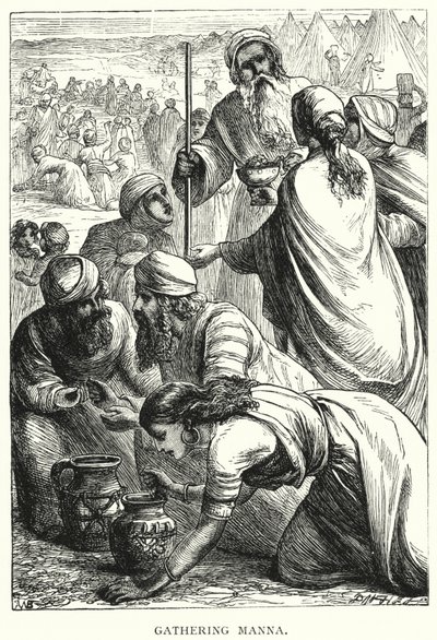 Gathering Manna (gravering) av English School