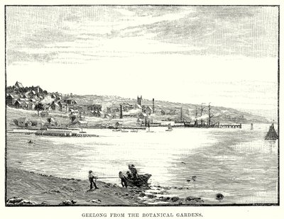 Geelong fra den botaniske hagen (gravering) av English School