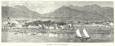 Gesamtansicht von Honolulu von English School