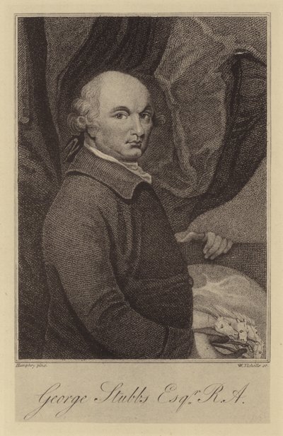 George Stubbs av English School