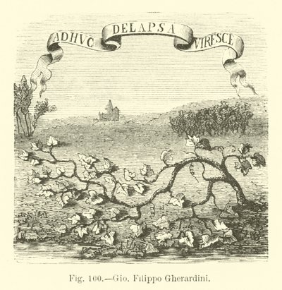Giovanni Filippo Gherardini av English School