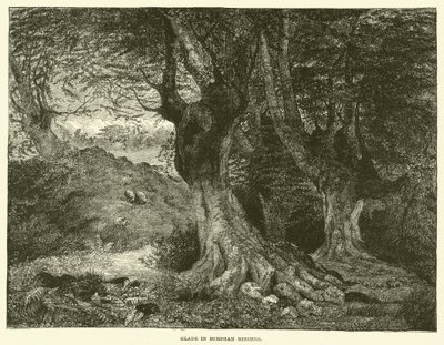 Glade i Burnham Beeches (gravering) av English School