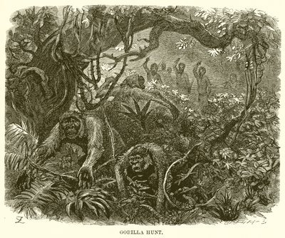 Gorillajakt av English School