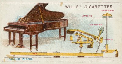 Flygel (chromolitho) av English School