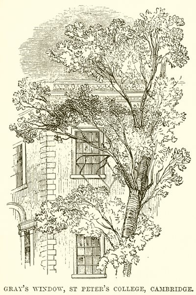 Grays Fenster, St. Peters College, Cambridge von English School