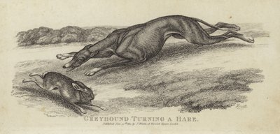 Greyhound snur en hare av English School