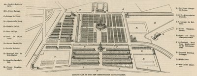 Grunnplan for det nye Metropolitan Cattle Market, Copenhagen Fields av English School