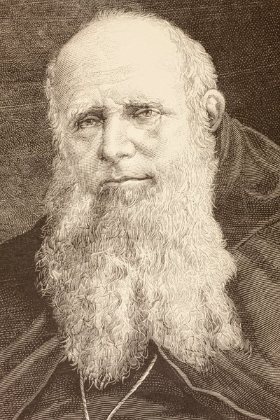 Guglielmo Massaia (litho) av English School