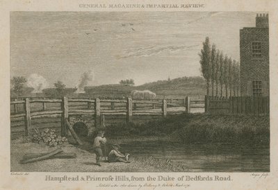 Hampstead og Primrose Hills, fra Duke of Bedfords-veien av English School