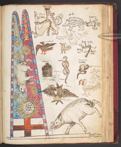 Harley 4632, f.242, Richard IIIs banner i Bosworth, pluss Yorkist-solskur (vellum) av English School