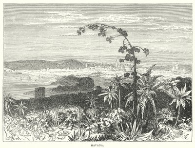 Havana (gravering) av English School