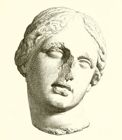 Leder av Afrodite av English School