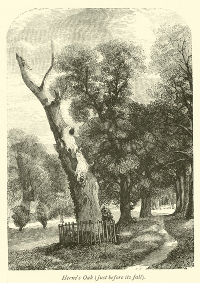 Hernes Oak, like før det falt av English School