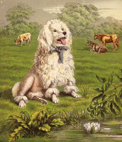 Hey Diddle Diddle (farge litho) av English School