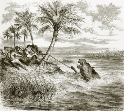 Flodhest harpunert av English School