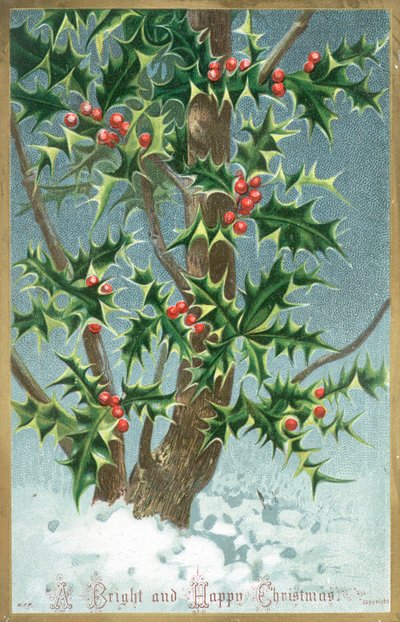 Holly Tree, julekort av English School