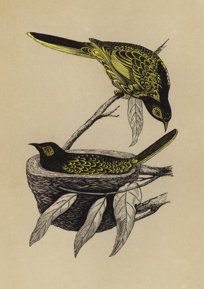 Honningspiser (litho i farge) av English School