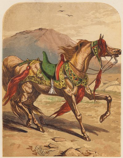 Hest (fargelitografi) av English School
