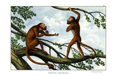 Hylende ape av English School