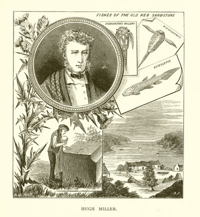 Hugh Miller av English School
