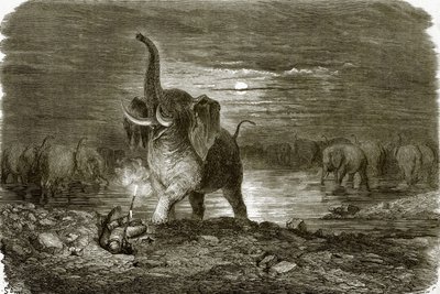 Jäger und Elefant von English School