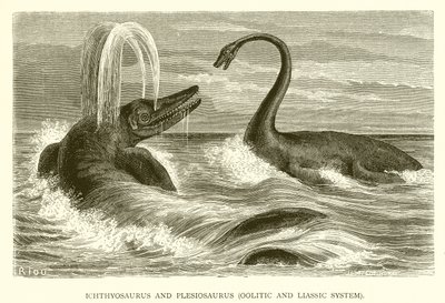 Ichthyosaurus og Plesiosaurus, Oolitic and Liassic System av English School
