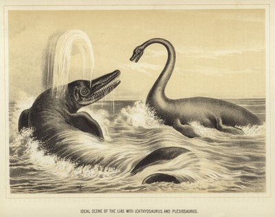 Ideell scene for Lias med Ichthyosaurus og Plesiosaurus av English School