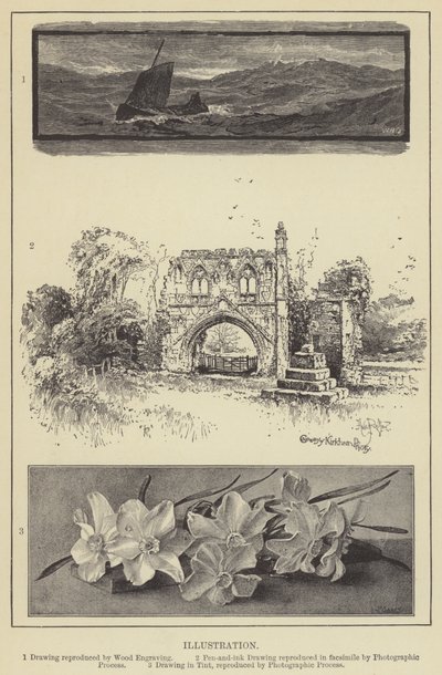 Illustrasjon (gravering) av English School