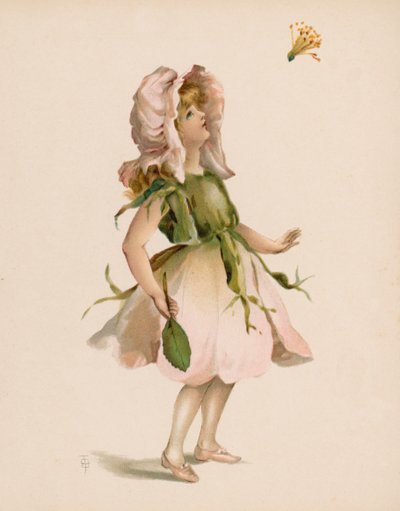 Illustrasjon for The Language Of Flowers (chromolitho) av English School