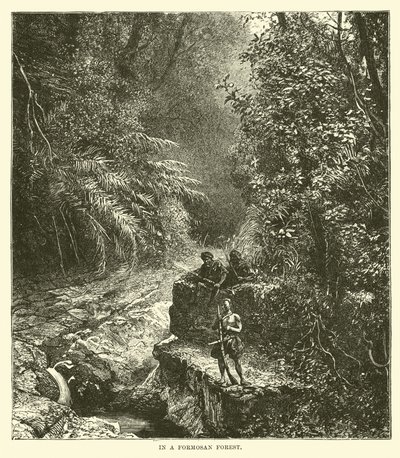 I en Formosan-skog av English School