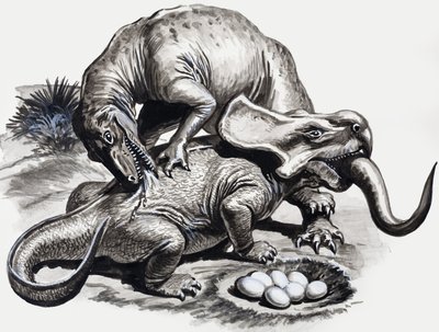 In the Days of the Dinosaurs: Discovery in the Desert av English School